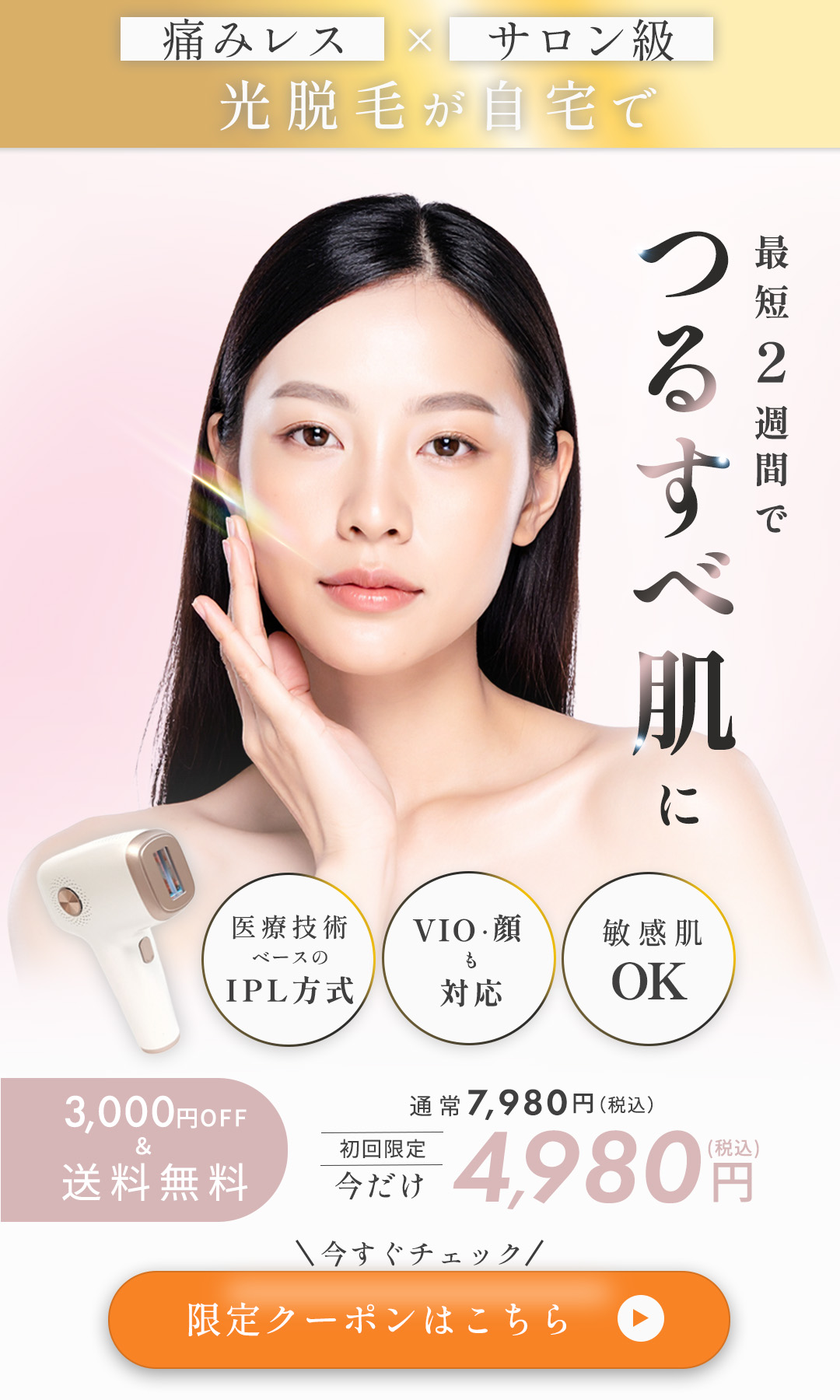 作品画像